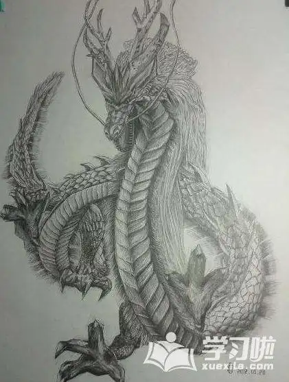 龙的素描简单画法图片