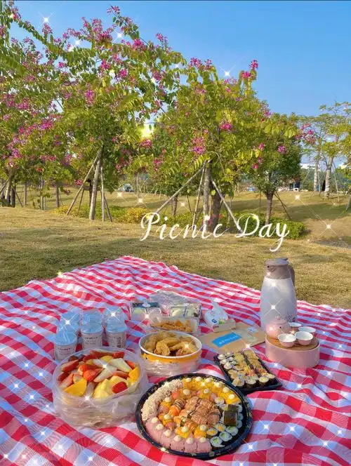 小山丘休闲野餐