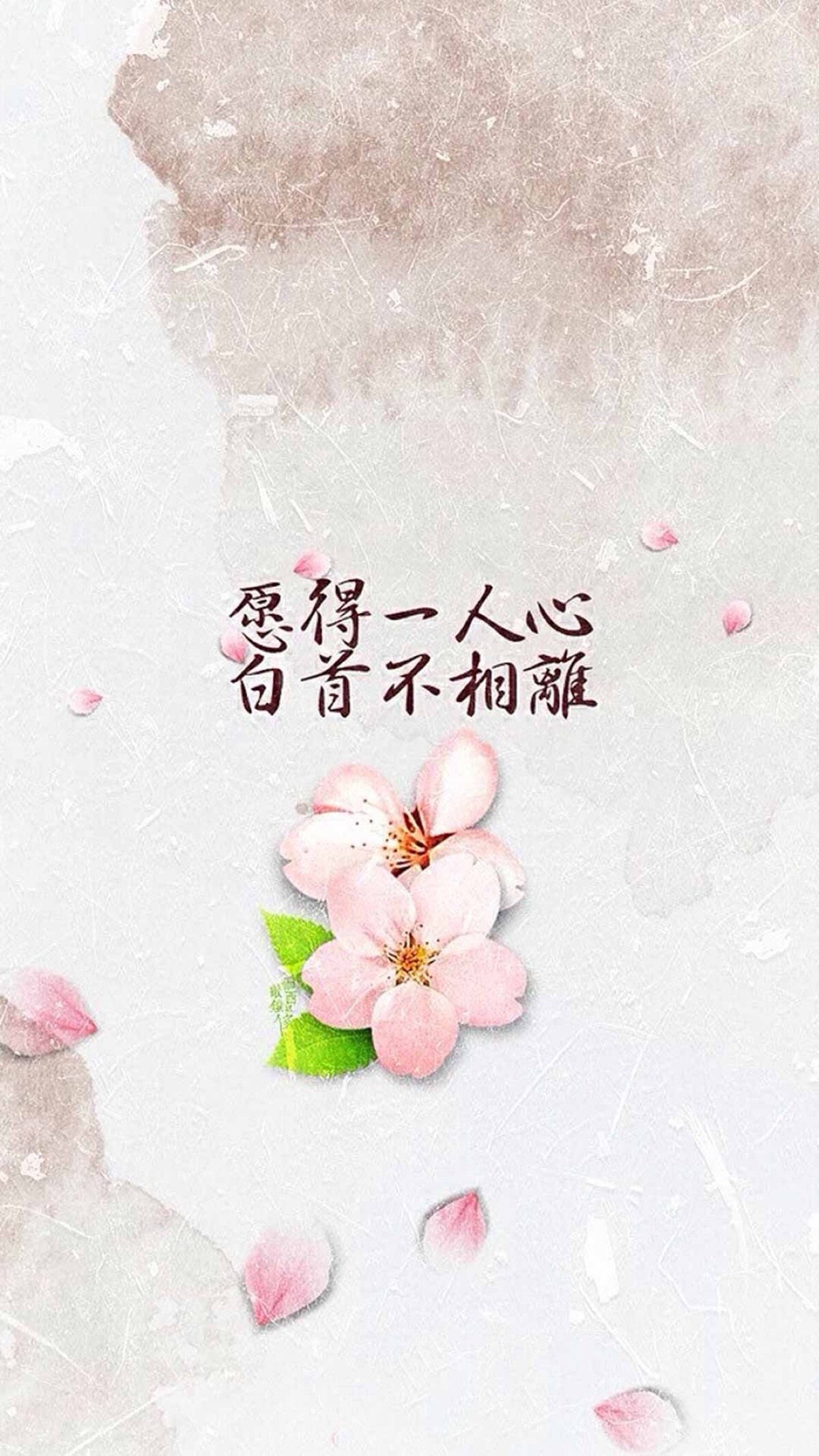 愿得一人心,白首不相离