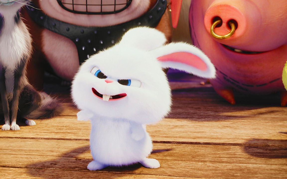 【爱宠大机密】一只一激动就biu~兔子的粑粑_哔哩哔哩 (゜-゜)つロ