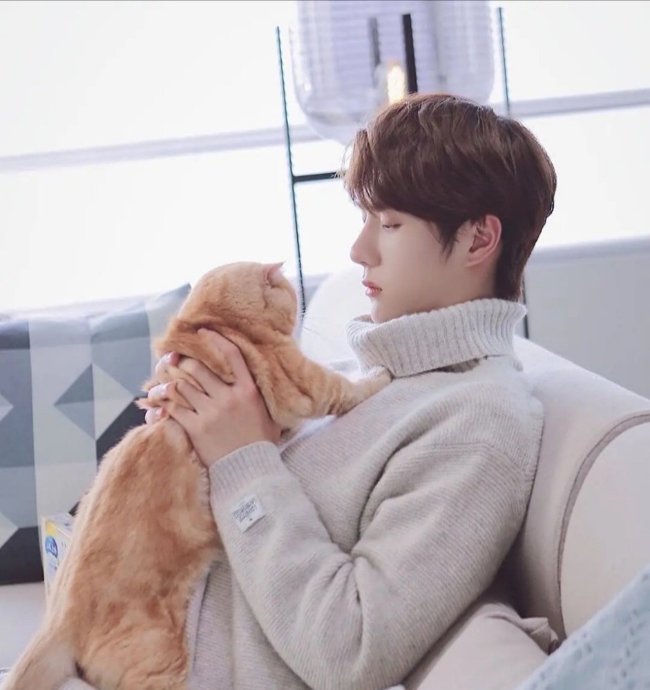 男明星抱猫图朱正廷王一博都不算啥看到千玺饭圈女孩都酸了