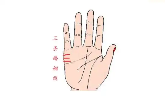 三,一个人的手掌上有三条婚姻线,其一生桃花比较多,但是烂桃花非常多