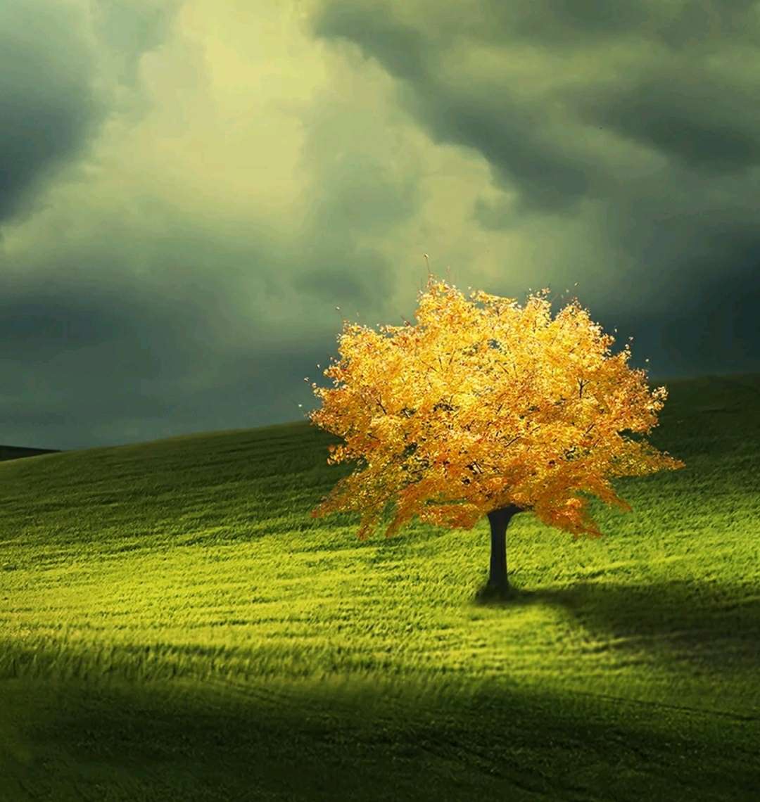 为了中体这一棵树,而放弃一大片森林,到底值不值?