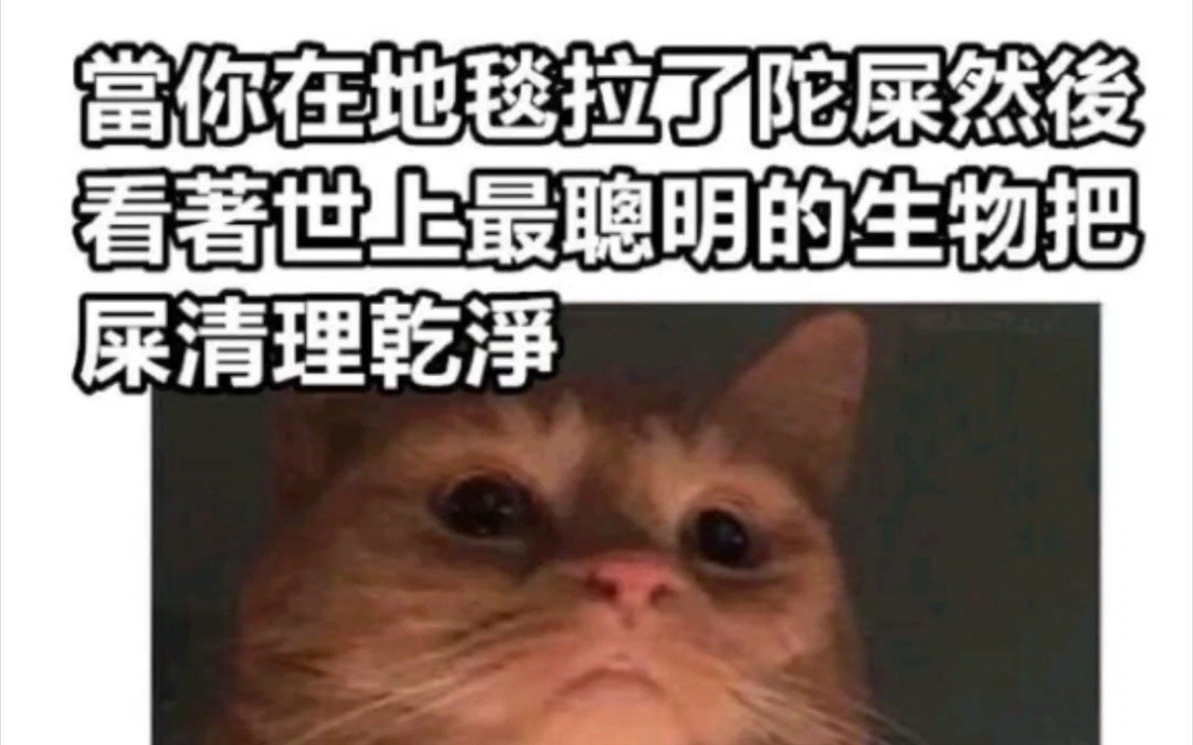 "网络上的那些爆笑沙雕梗图"#10