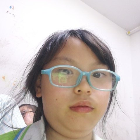 爱写小说的小学生