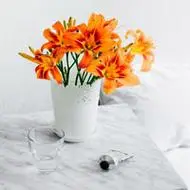 装有花束的花瓶图片 花瓶头像图片大全-唯美头像