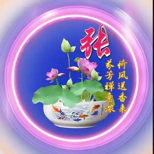 好看的荷花头像带范姓氏 姓氏头像荷花送香来(39)