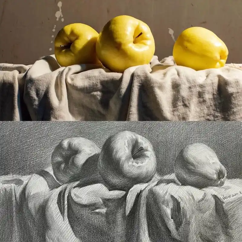 素描静物简单组合