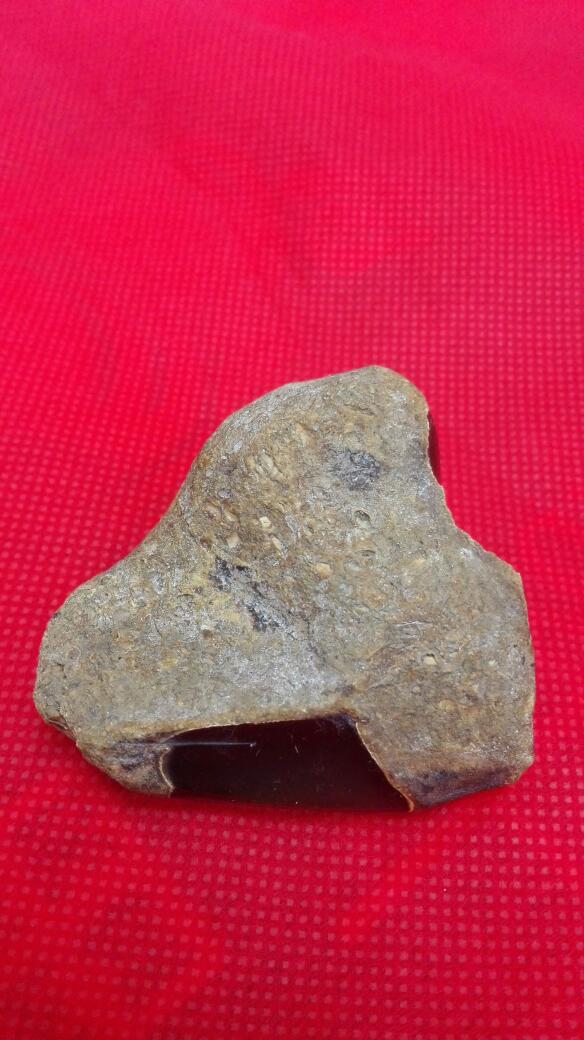 恐龙时代的化石琥珀,透明度很好,自己挖到的各位大神看看值多少钱