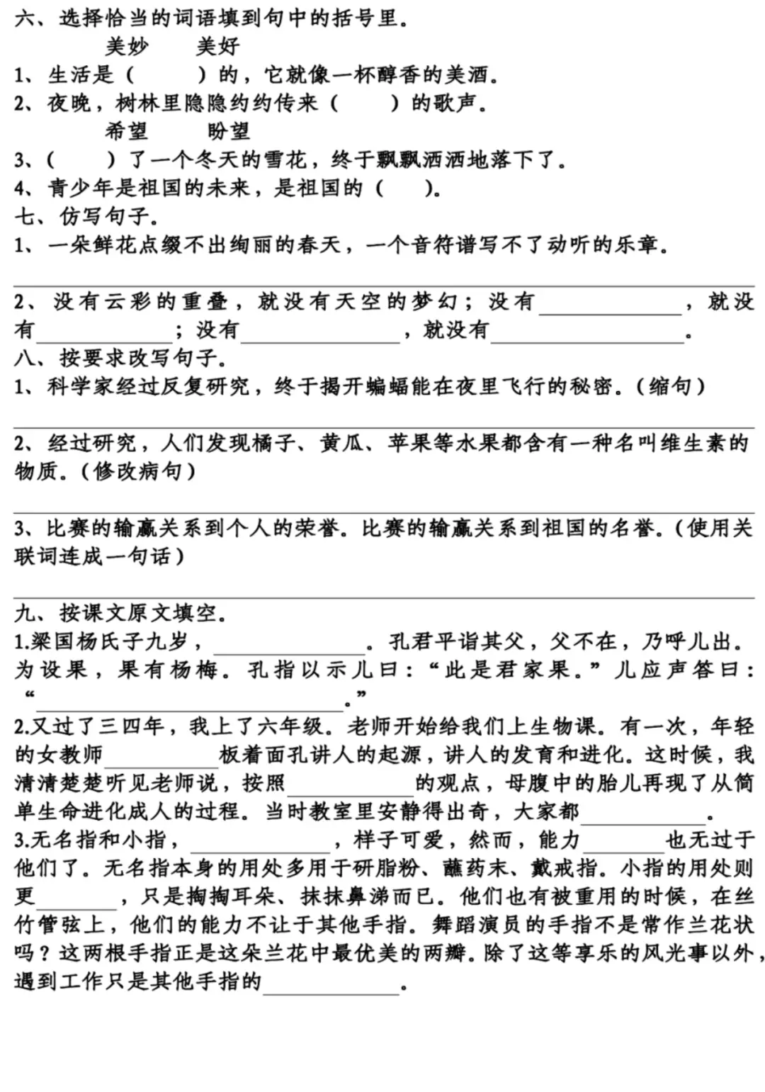 五年级语文下册 5-8单元基础知识复习卷(含答案)240517