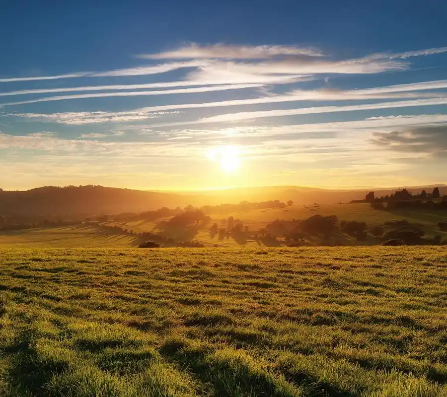 风景,风景,阳光,草原,夕阳,阳光普照的大地壁纸