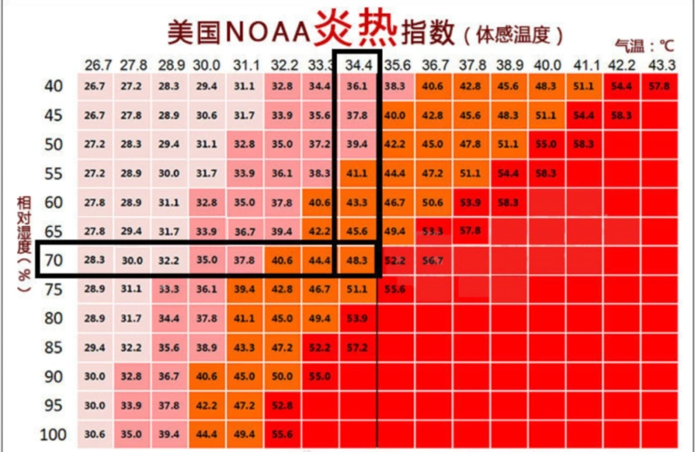 小编查了一下名古屋8月15,16日的气温和相对湿度情况.