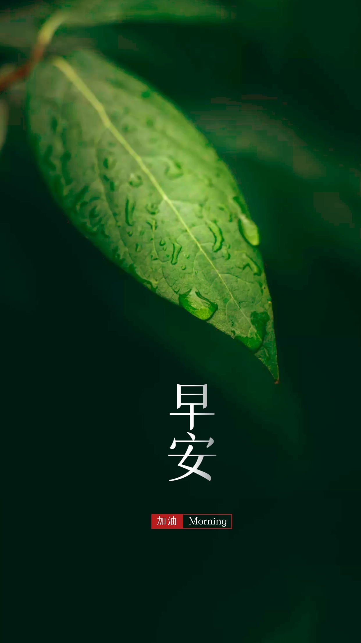 朋友圈早安心语正能量图片文案:初心不与年俱老,奋斗永似少年时