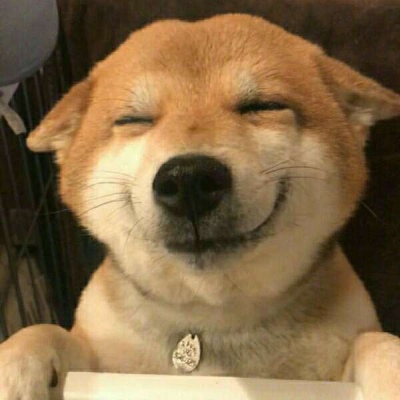 可爱憨憨情头高清一对两张可爱傻憨憨的情头图片