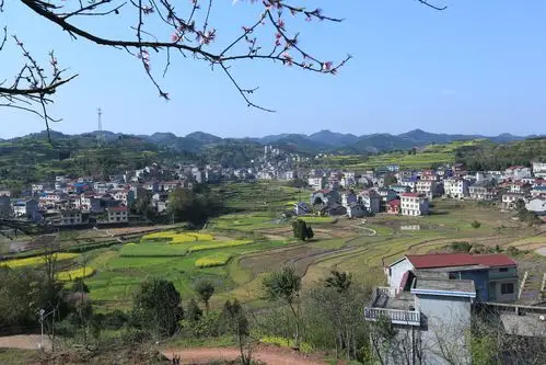 高村镇乡下的田园风光