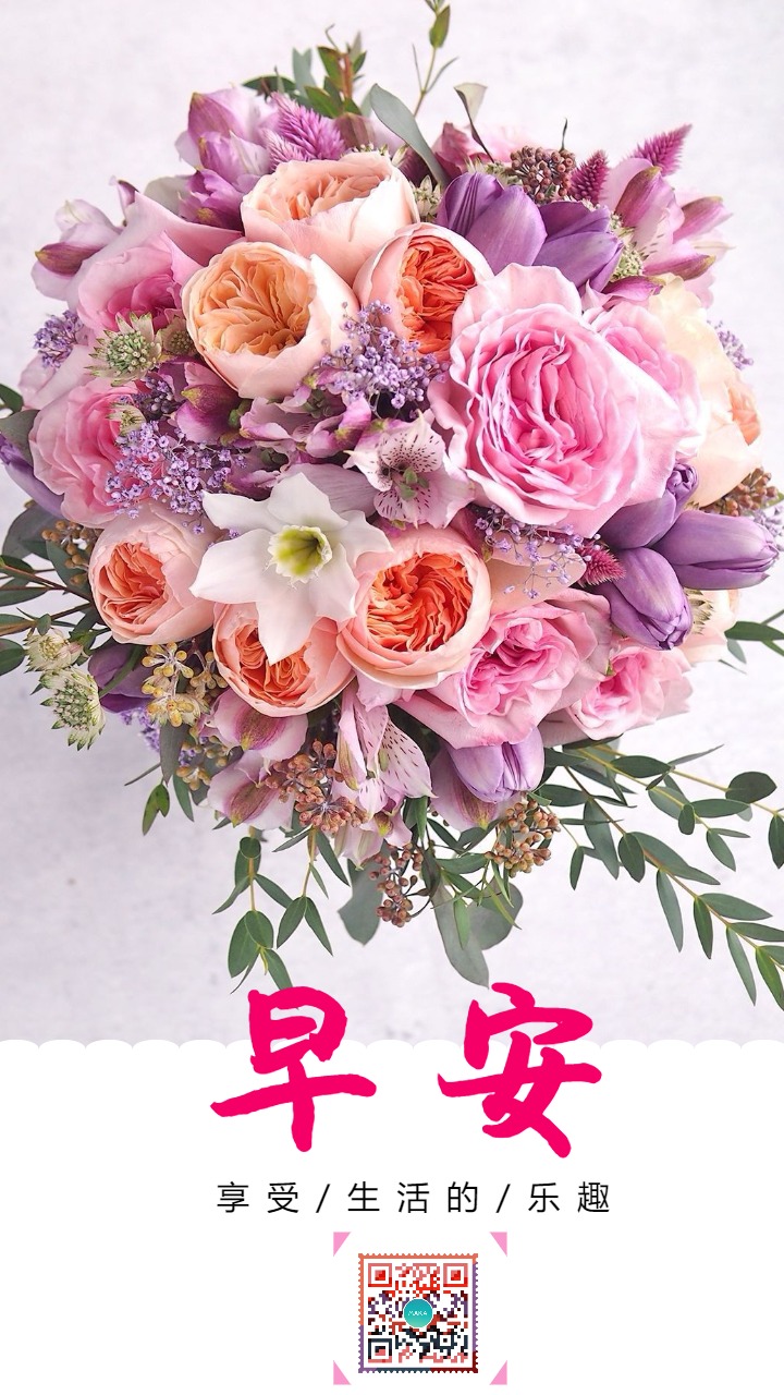 日签早安人个朋友圈心情语录问候花朵花束海报