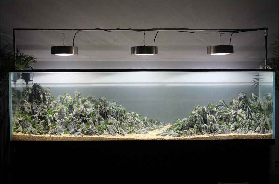 气壮山河大型群山草缸造景图片欣赏