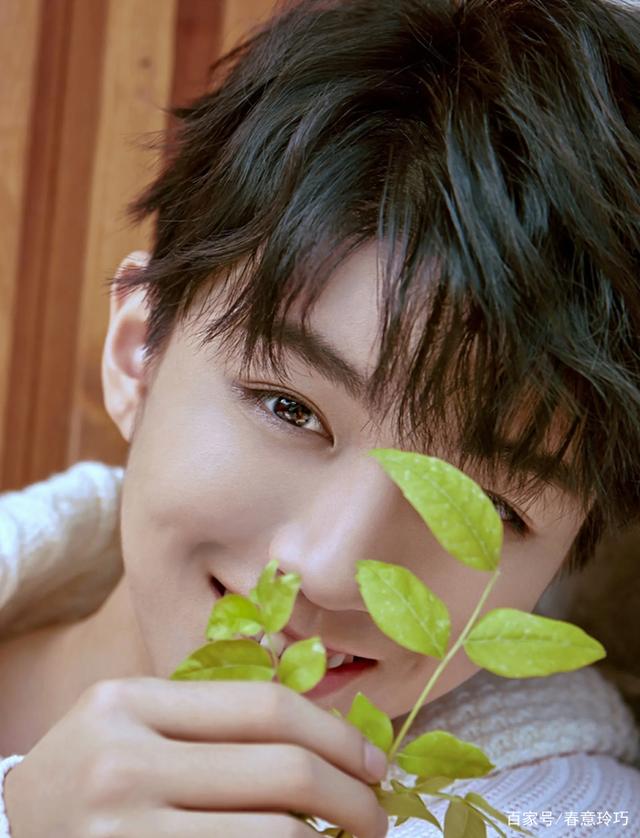 王俊凯:有可爱的虎牙,所以,他是一个活泼机智的机灵鬼,无疑.