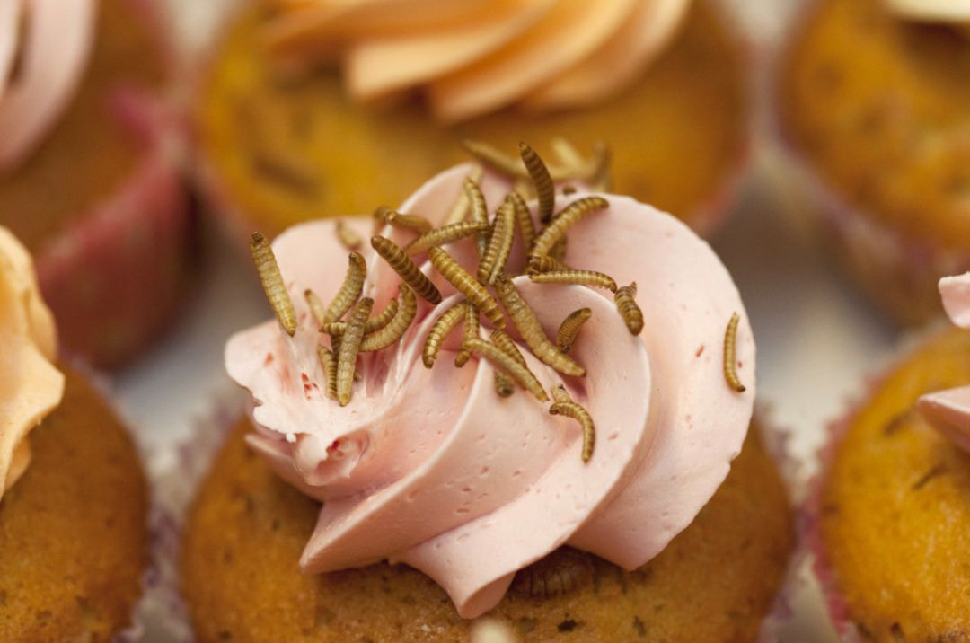 全球最恐怖的冰淇淋广东人表示不敢吃