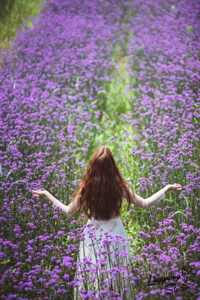 【520】绍兴惊现大片紫色花海,画面堪比"普罗旺斯",关键穿长裙还能