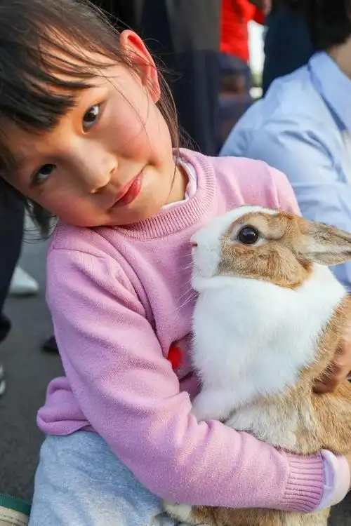 小女孩和小兔子帅钢摄影