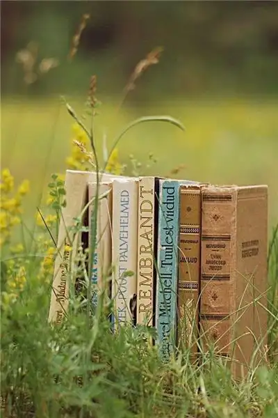 夕阳下的芦苇唯美意境美丽风景图片