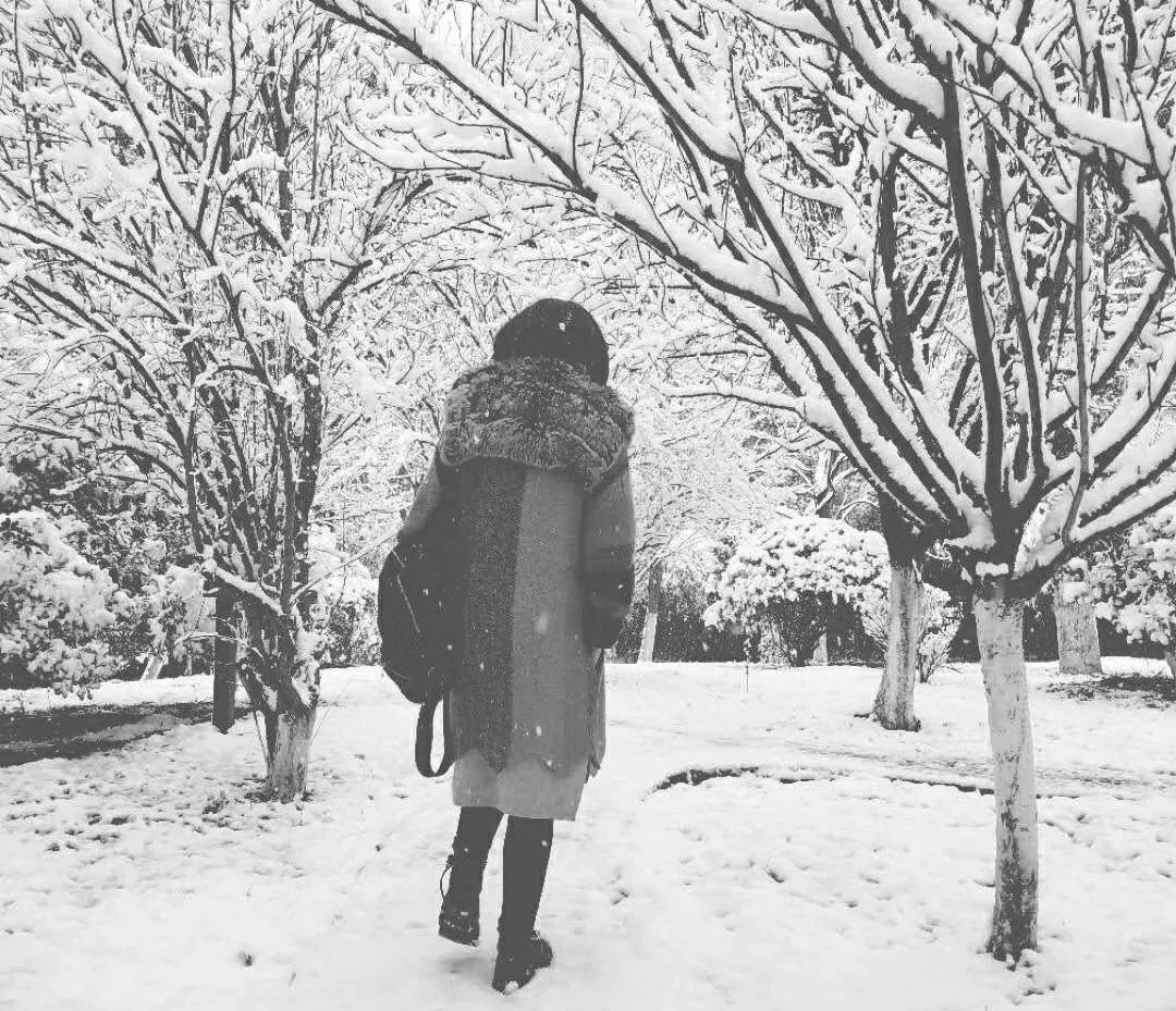 美呆了大雪中的宁乡雪景图每一张都令你过目难忘