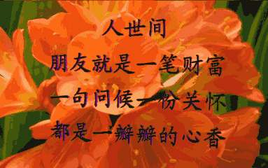 早安动态问候语加图片我的好朋友愿你开心如意