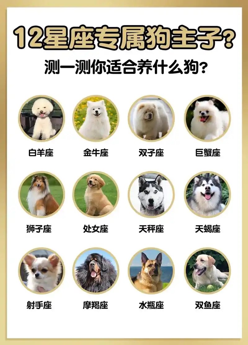 12星座专属狗狗#图文掘金计划 #新手养狗 #养宠进阶指南  - 抖音