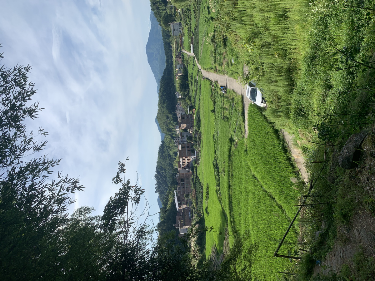 乡村自然风光小赖赖关注