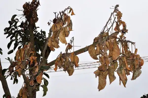 多彩贵州网 - 黔西南频道