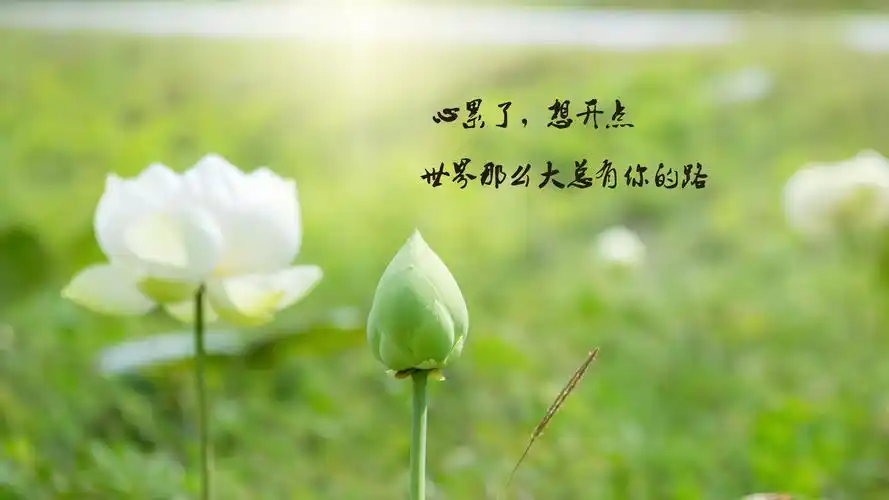 朋友圈心累伤感的说说图片