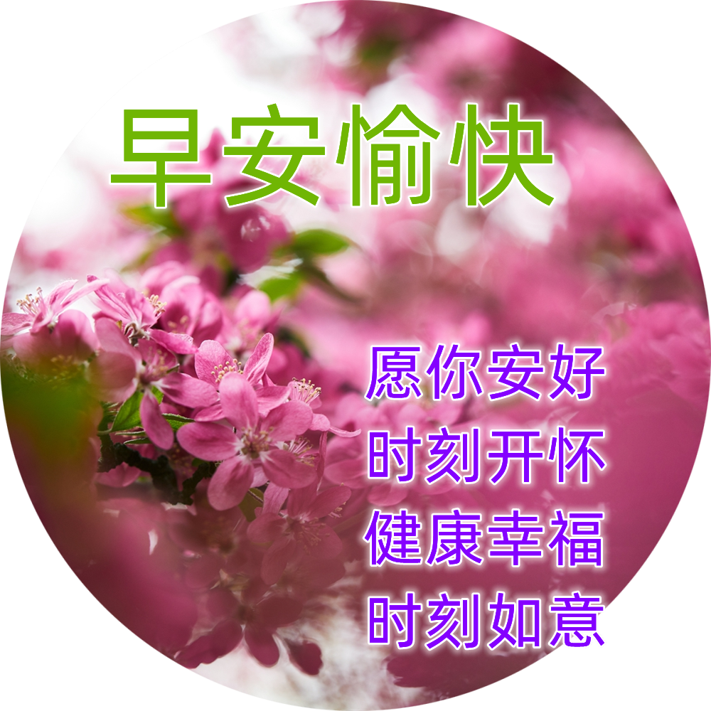 早上好问候语 最新早上好精致图片 最新微信最新带字早上好图片