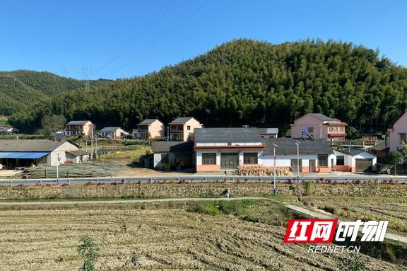 益阳:让"艾上扫除"擦亮乡村振兴秀美底色