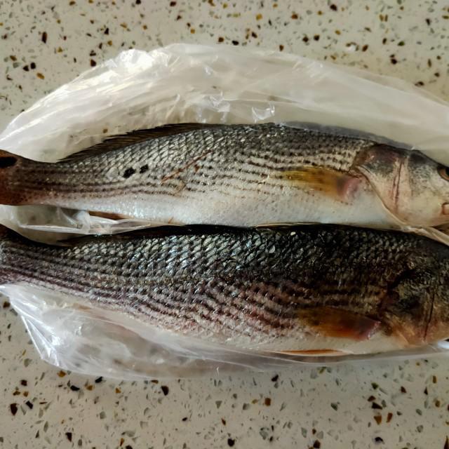 红烧铜锣鱼,色泽红亮,鲜美无敌