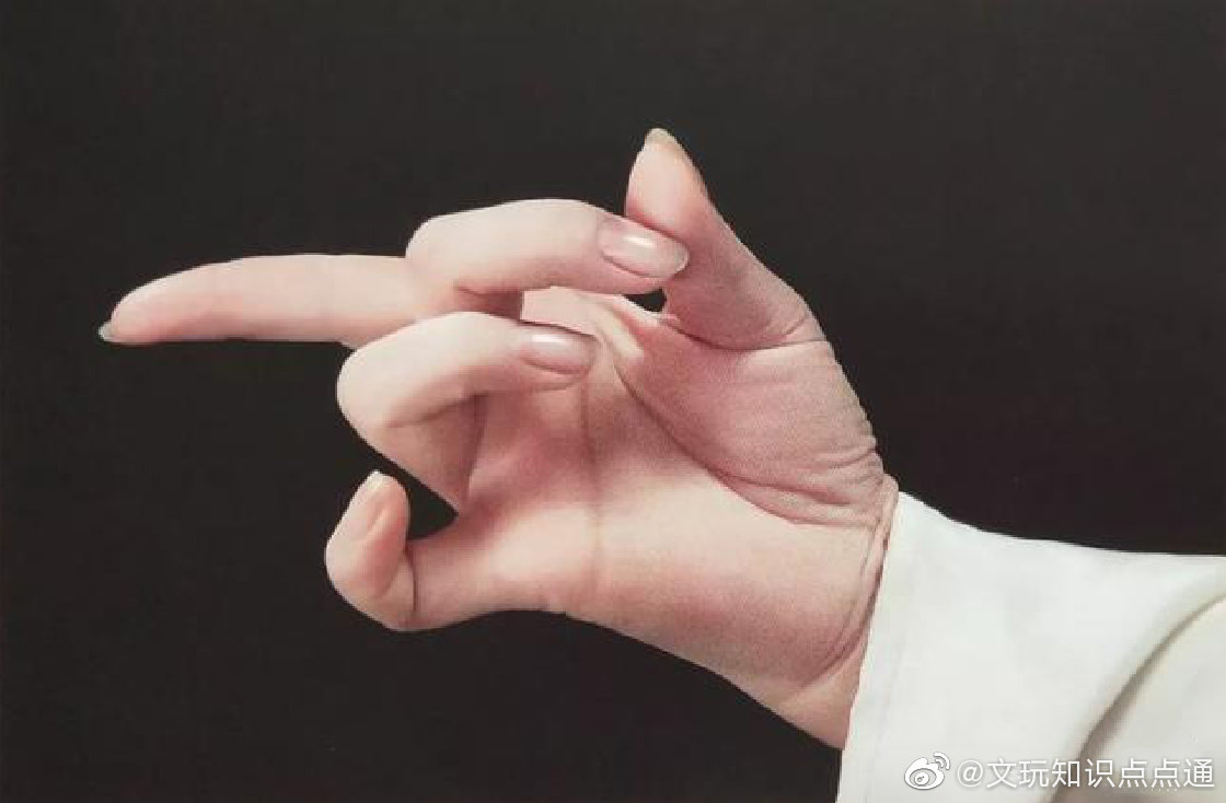 梅派艺术在不同曲目中运用过的几种兰花指样式