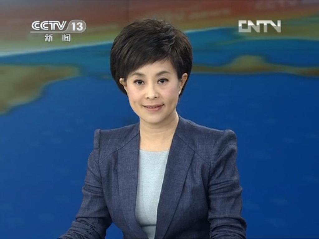 现中央电视台《新闻直播间》,《朝闻天下》, 《新闻30分》主持人