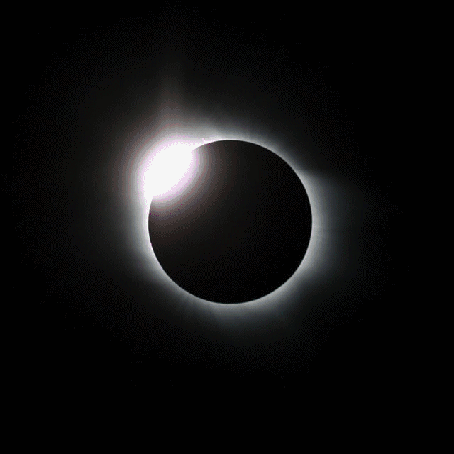 640_640gif 动态图 动图