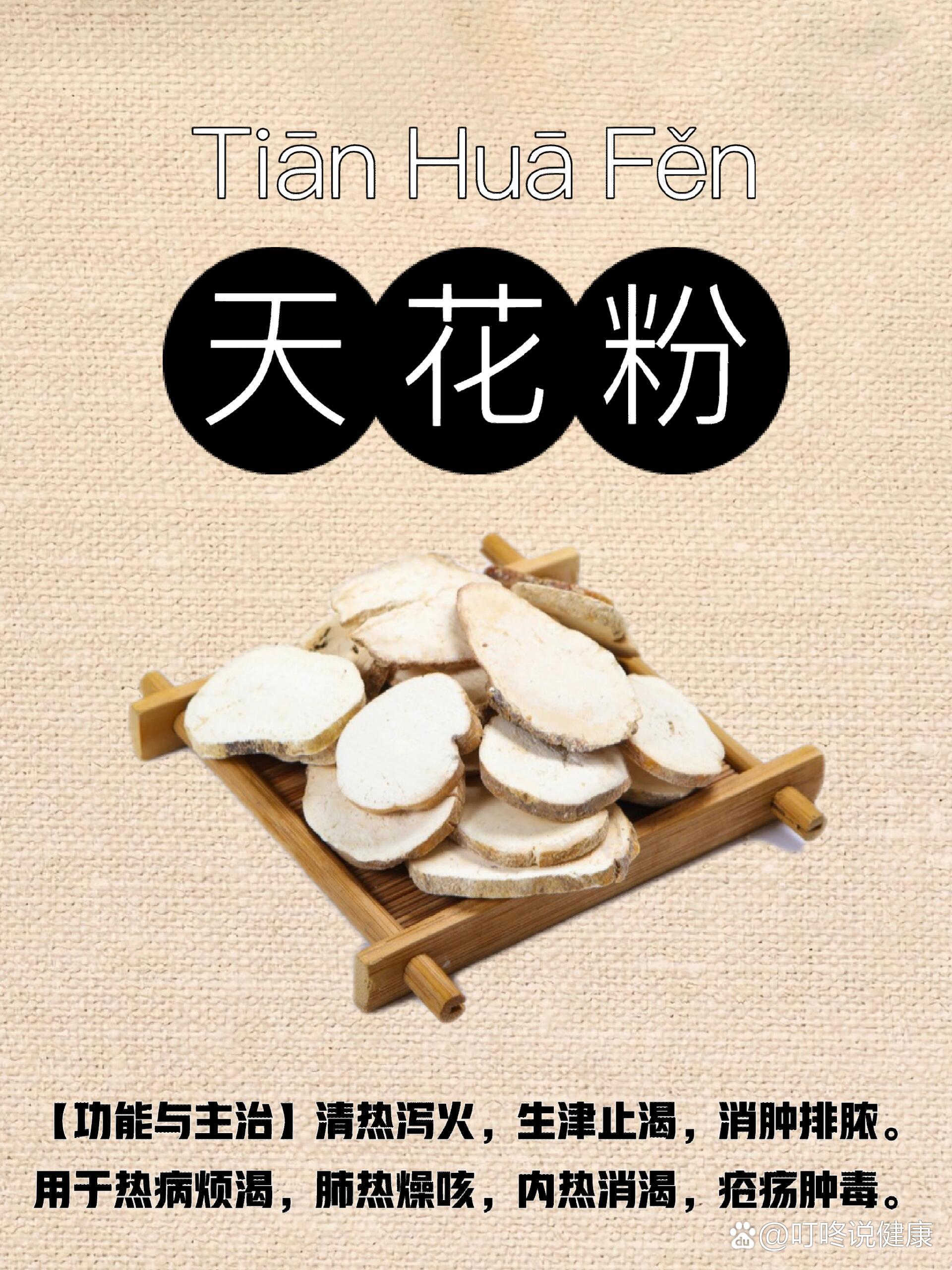 《本草正义》:药肆之所谓天花粉者,即以蒌根切片用之,有粉之名,无粉之