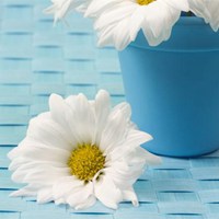 适合沉默安静的唯美头像_微信头像图片大全