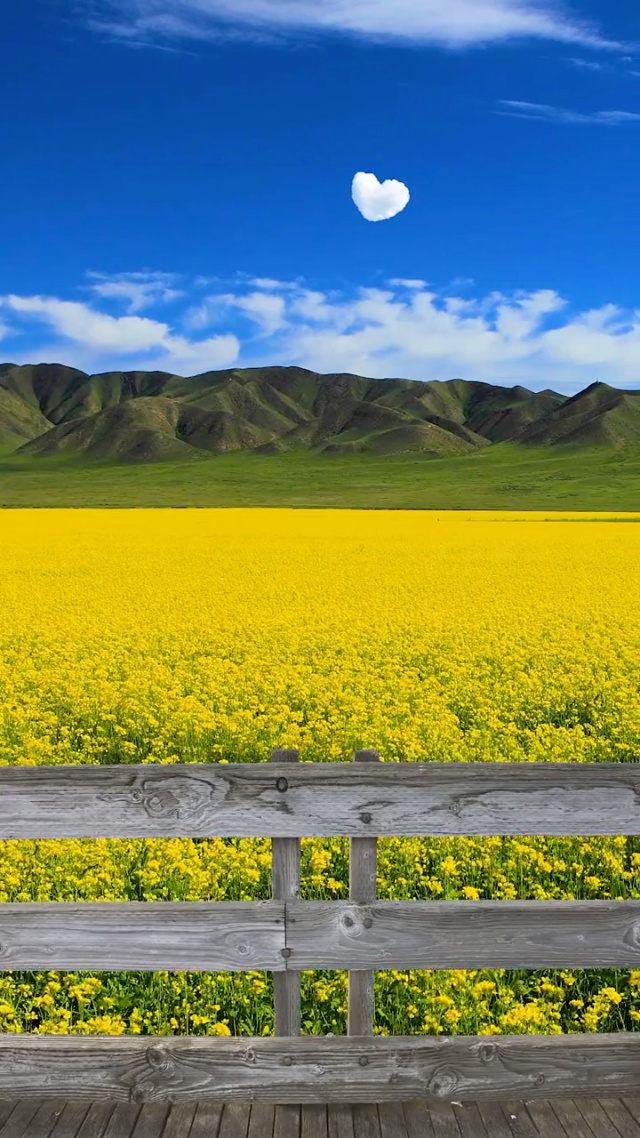 最好的地方,最好的时光,是回不来的!2021年夏天最美的阳光!