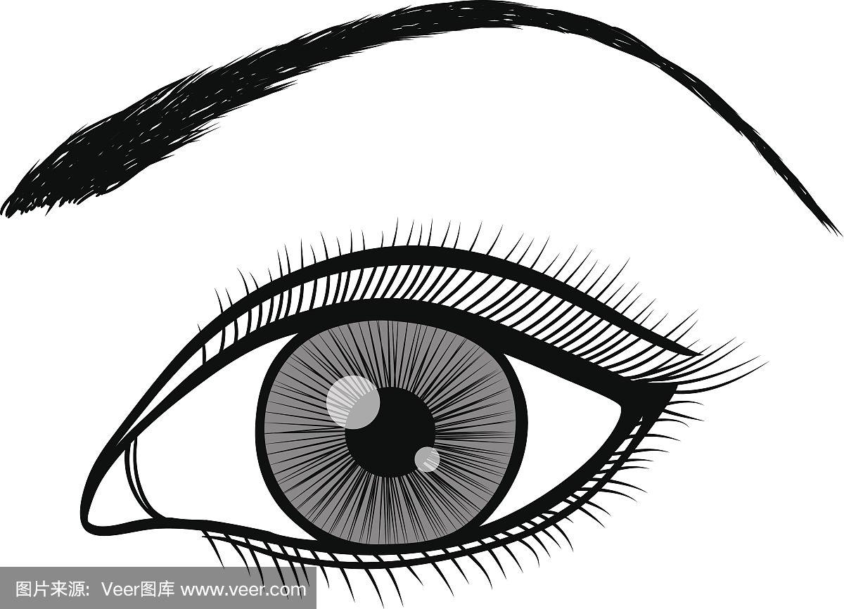 女性眼睛的黑白轮廓.