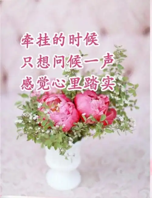 不爱换微信头像的人