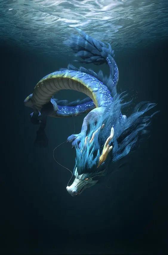 手机无水印壁纸中国龙