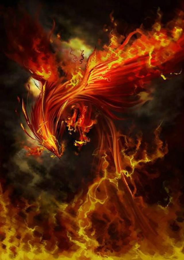 中国10大神兽,中国的五大神兽(中国上古神话中十大神鸟)