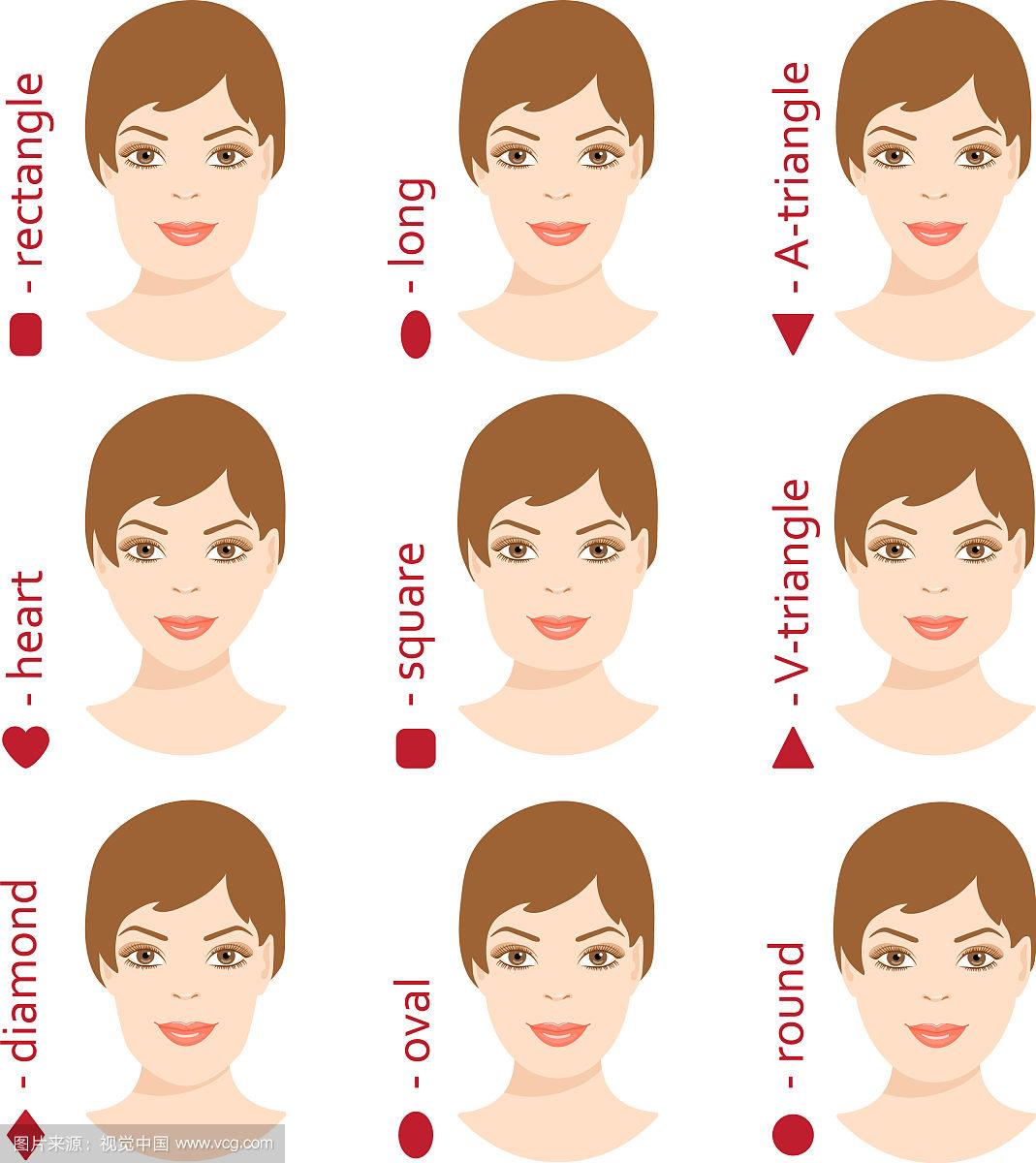 一组不同的女性脸型