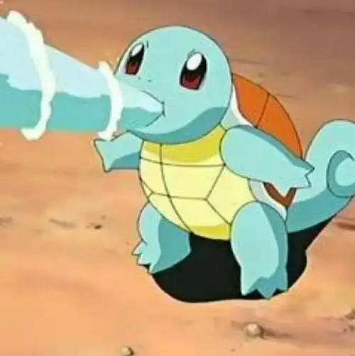 杰尼龟头像高清_杰尼龟憨憨头像高清_乖乖手游网