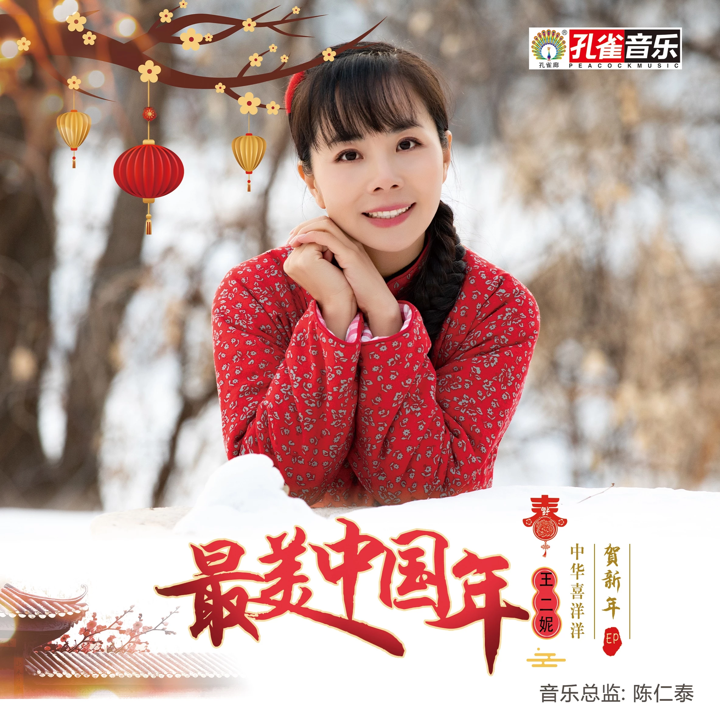 王二妮最美中国年伴奏