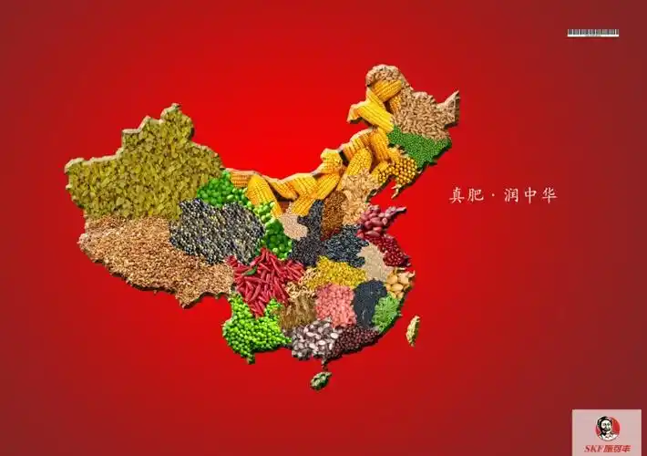 魏辉瀑指导老师:彭姝参赛院校:福建师范大学协和学院创意思想:中国