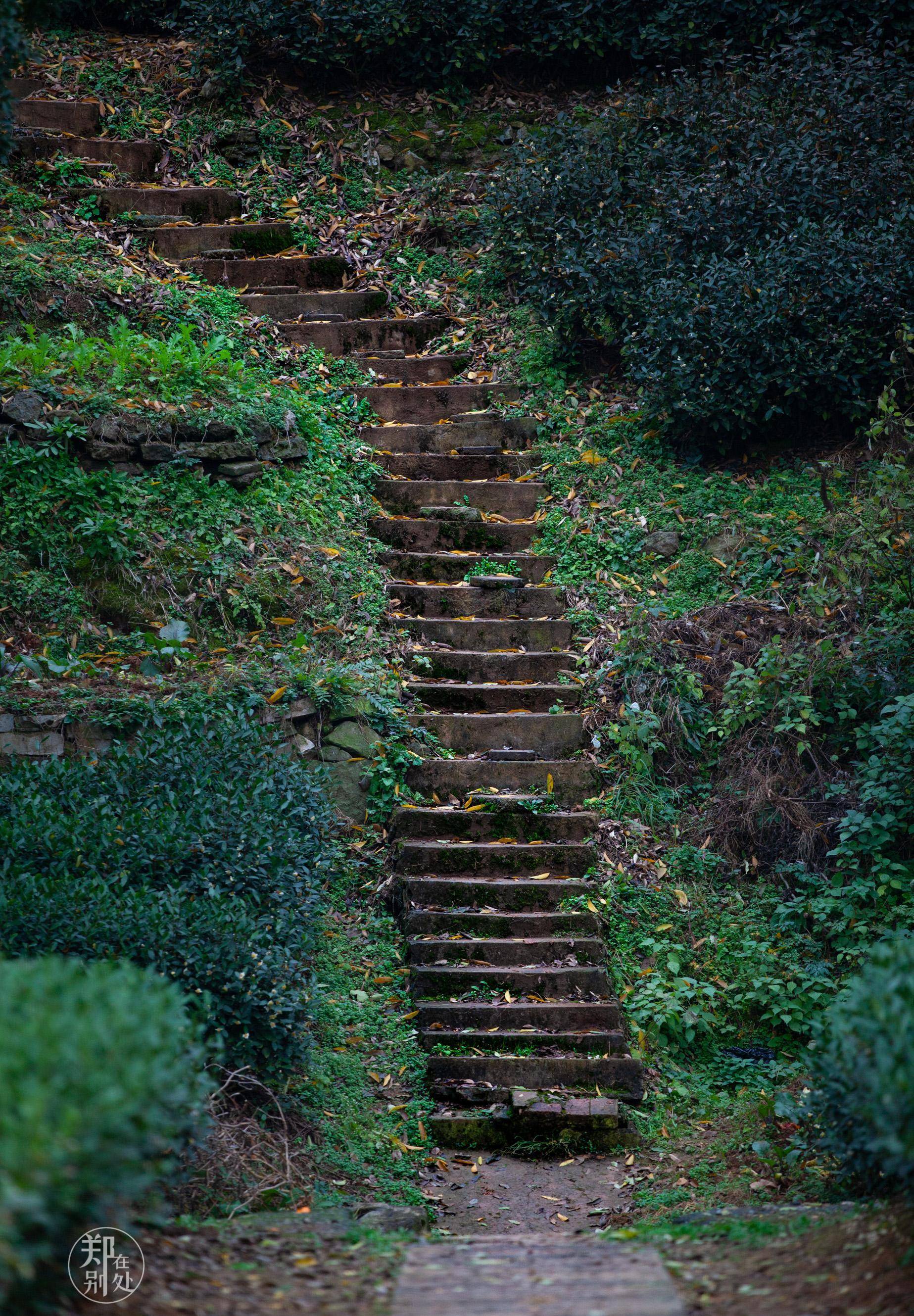 杭州登山徒步路线:问茶古道,可能是最轻松的了,风景还很不错